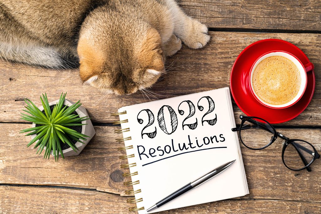 New year resolutions 2022 on desk. 2022 new year resolutions with notebook, cute cat, coffee cup, eyeglasses, succulent on wooden background. Goals, plan, list, idea, cozy home concept